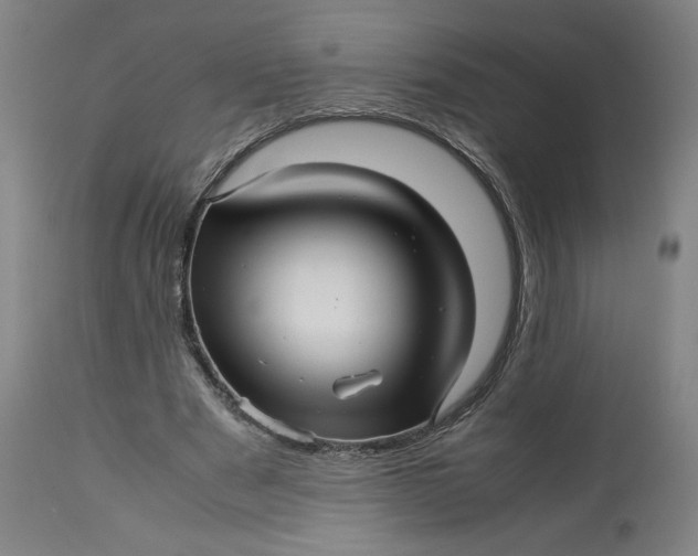 X0000113010489200909171433