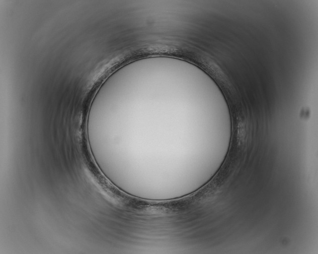 X0000113010490200909171433