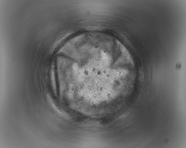 X0000113010491200909171433