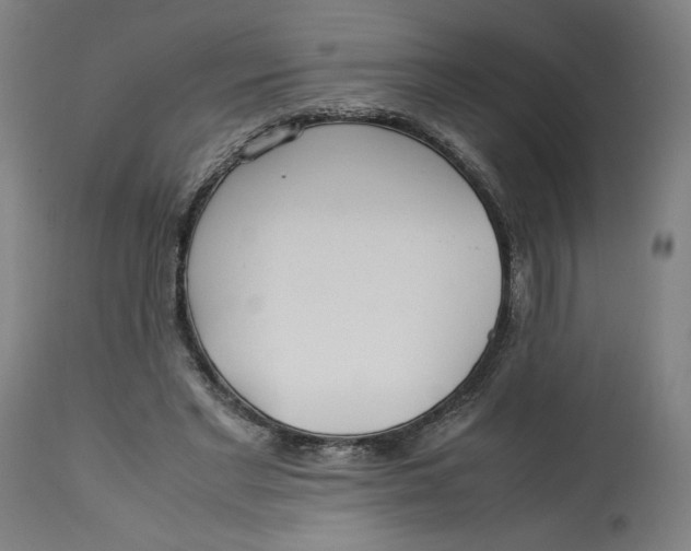 X0000113010493200909171433