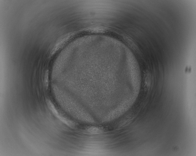 X0000113010494200909171433