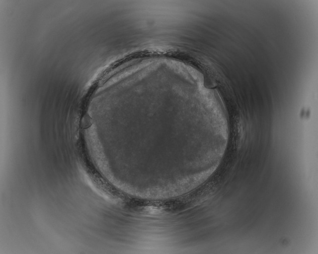 X0000113010496200909171433