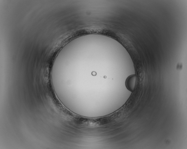 X0000113010498200909171433