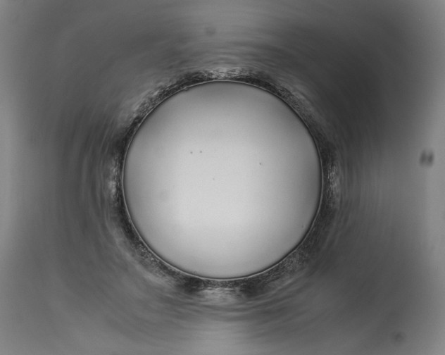 X0000113010499200909171433