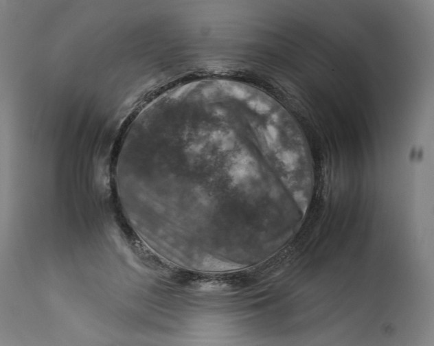 X0000113010500200909171433