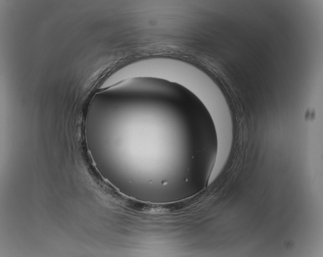 X0000113010501200909171433