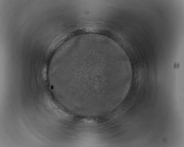 X0000113010502200909171433