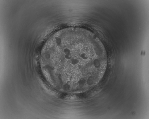 X0000113010503200909171433