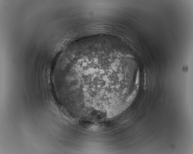 X0000113010504200909171433