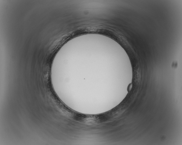 X0000113010505200909171433