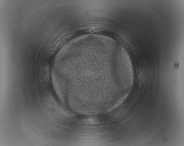 X0000113010506200909171433