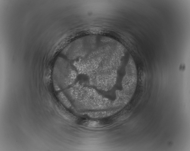 X0000113010507200909171433