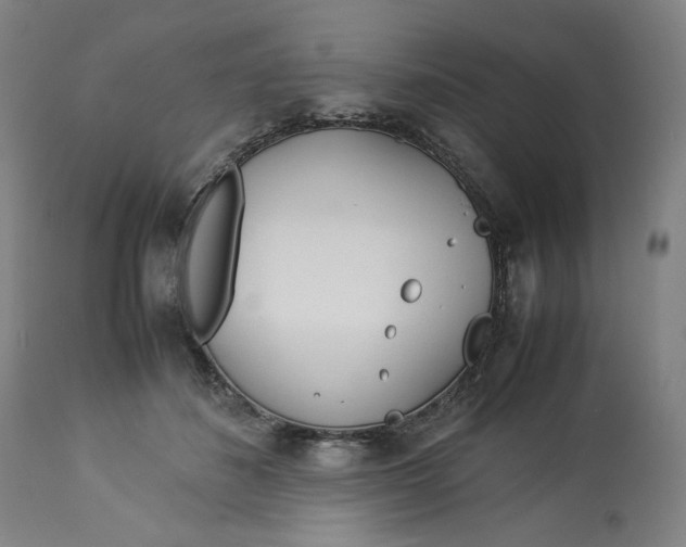 X0000113010508200909171433