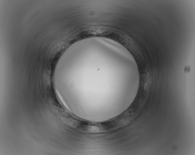 X0000113010510200909171433