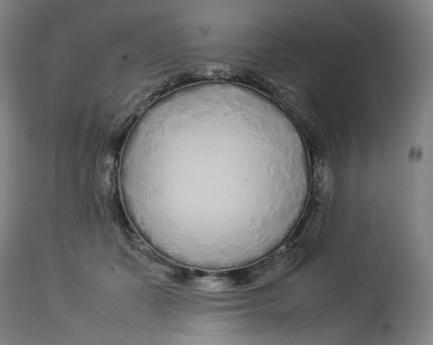 X0000113010511200909171433