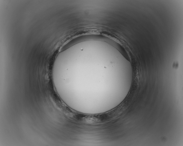 X0000113010512200909171432