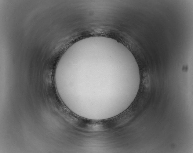 X0000113010514200909171432