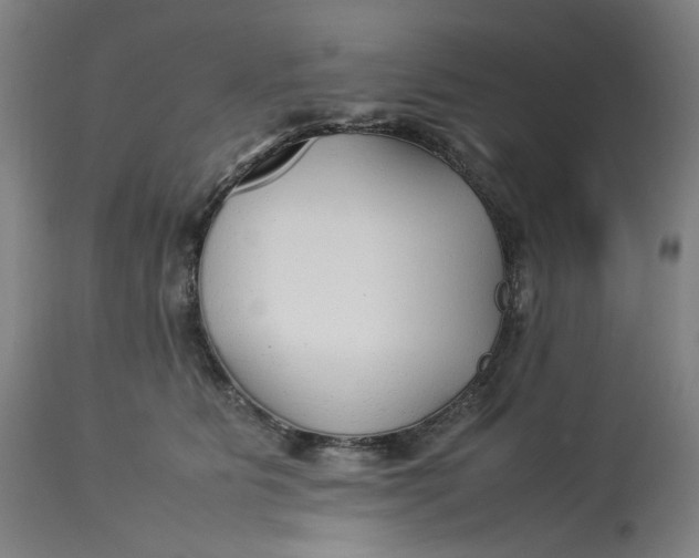 X0000113010515200909171432