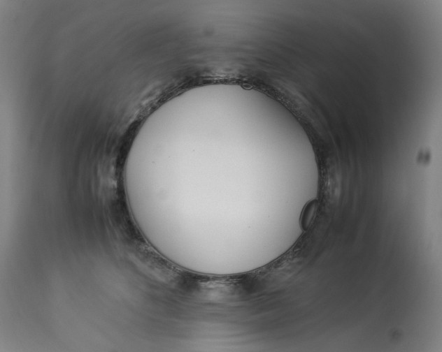 X0000113010516200909171432