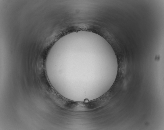 X0000113010518200909171432