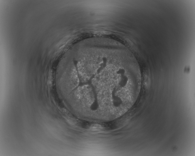 X0000113010519200909171432