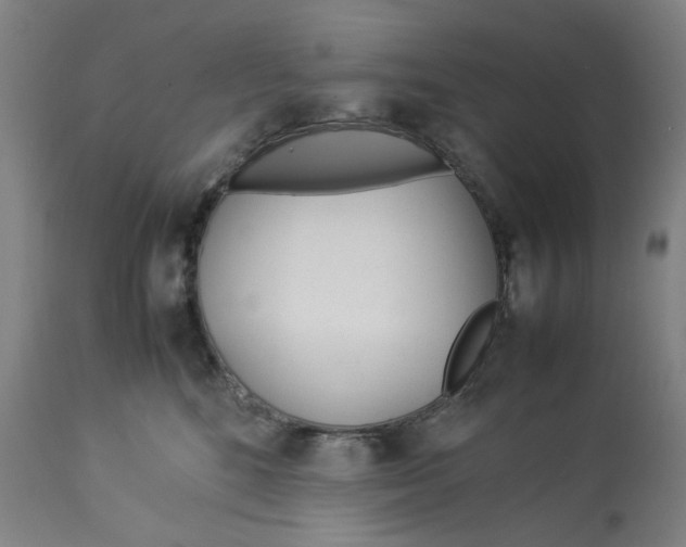 X0000113010520200909171432