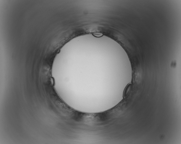 X0000113010521200909171432