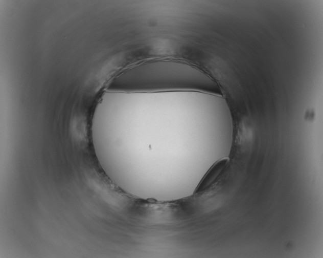 X0000113010524200909171432