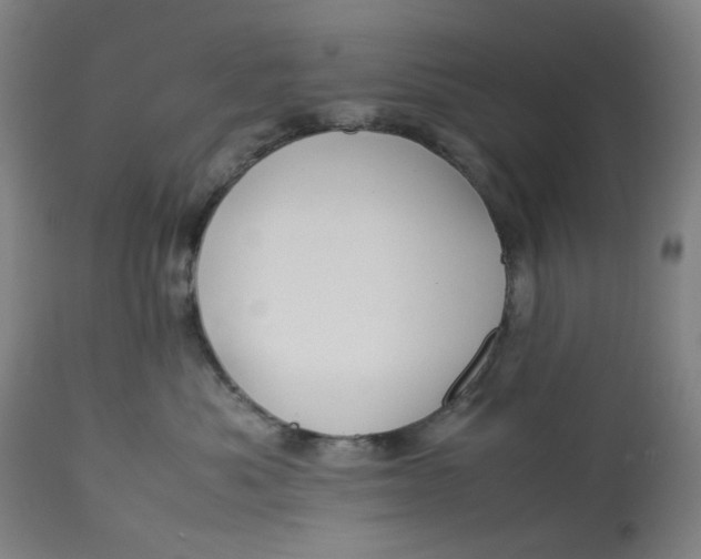 X0000113010525200909171432