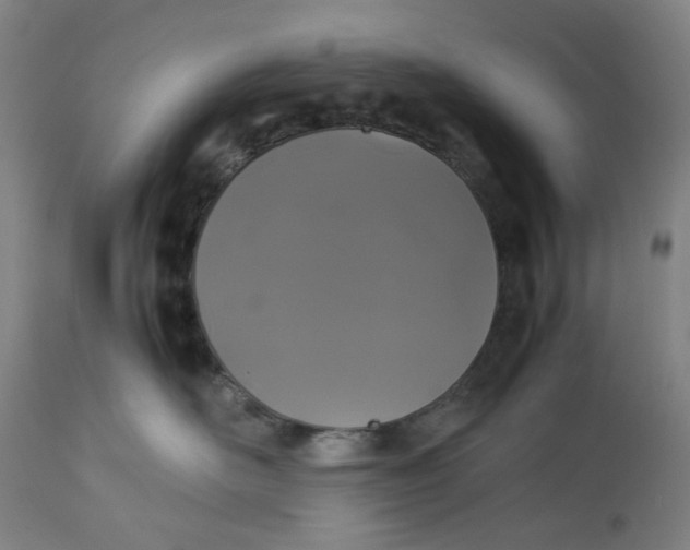 X0000113010526200909171432