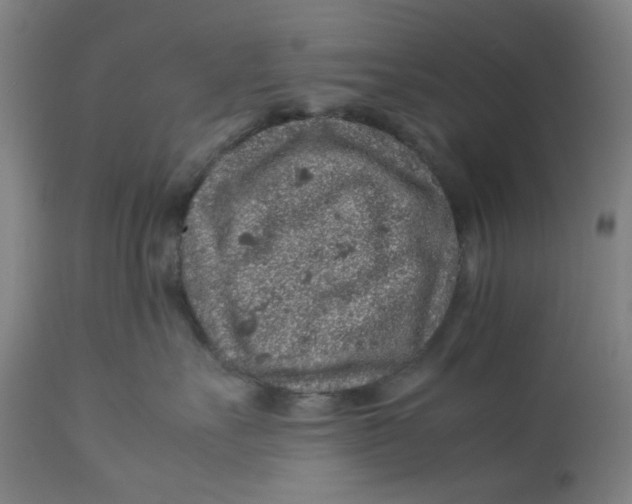 X0000113010527200909171432