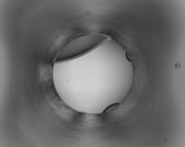 X0000113010528200909171432