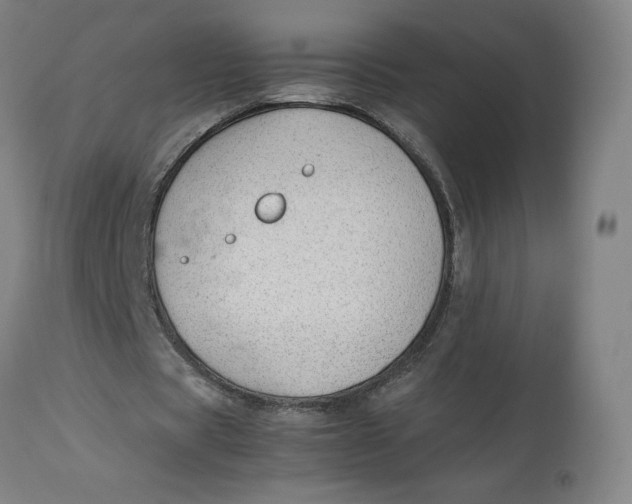 X0000113010529200909171432