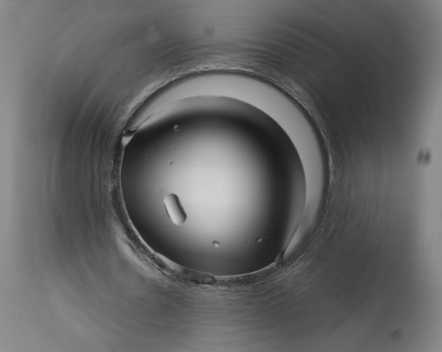 X0000113010530200909171432