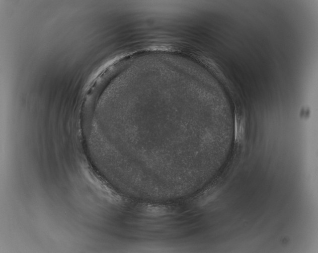 X0000113010531200909171432