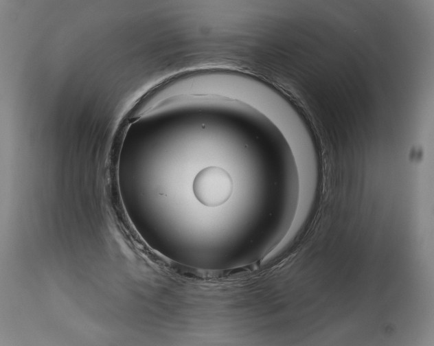 X0000113010532200909171432