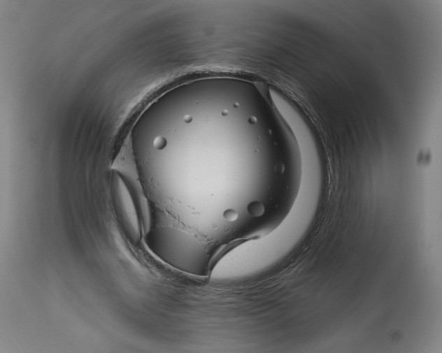 X0000113010534200909171432