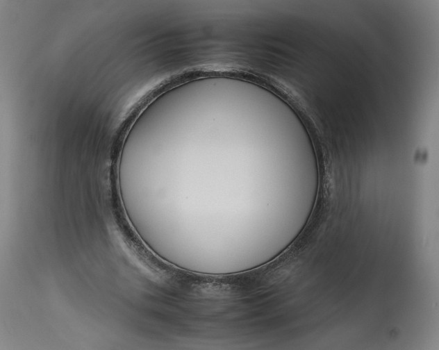 X0000113010535200909171432