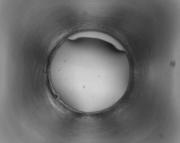 X0000113010538200909171432