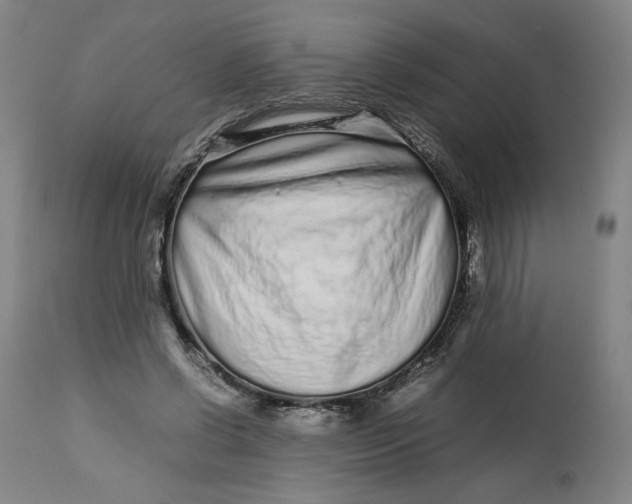 X0000113010542200909171432