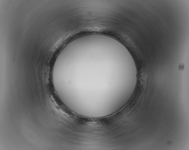 X0000113010544200909171432