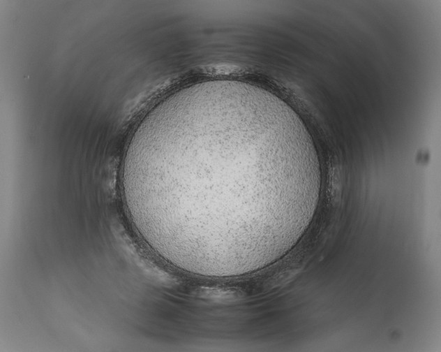 X0000113010545200909171432