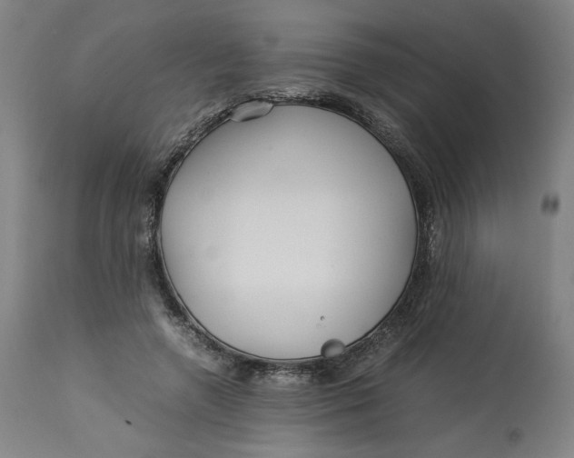 X0000113010546200909171432