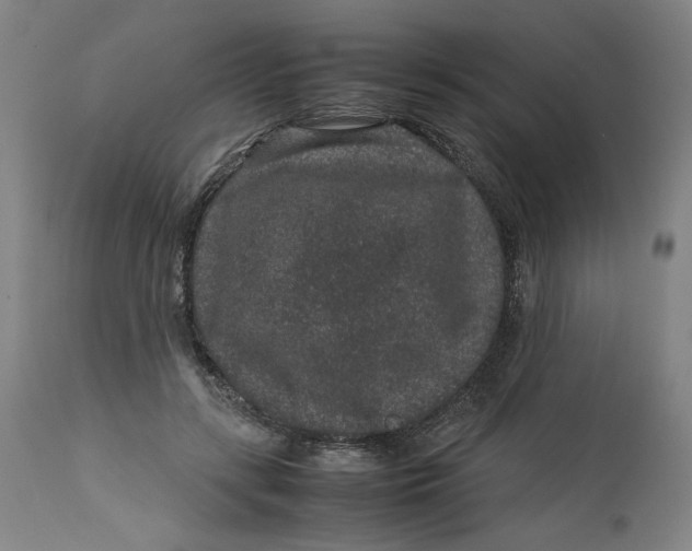 X0000113010547200909171432