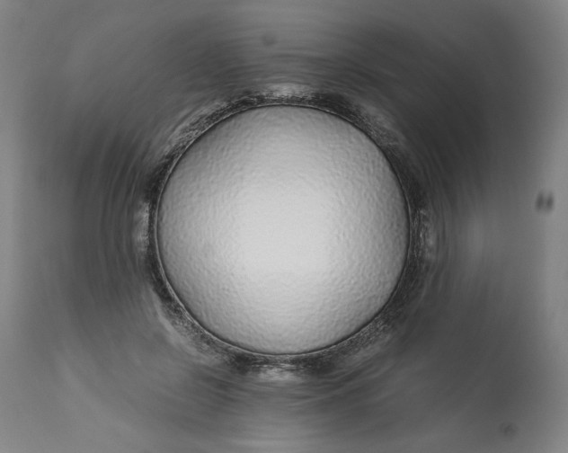 X0000113010550200909171432