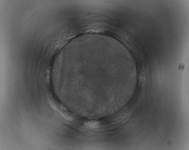 X0000113010551200909171432