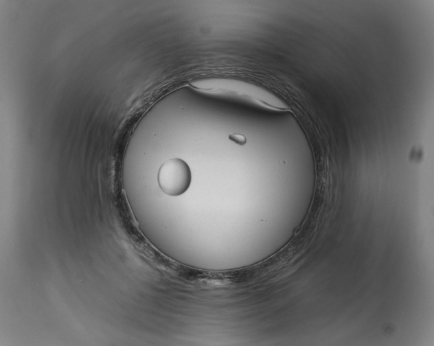 X0000113010552200909171432