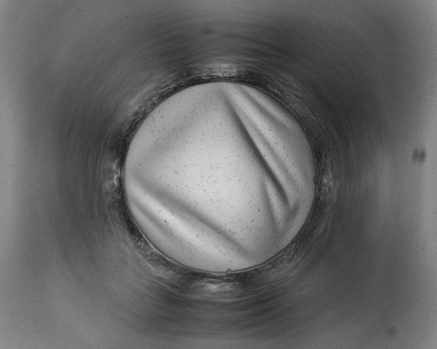 X0000113010555200909171432