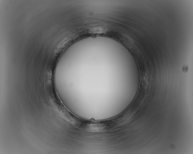 X0000113010556200909171432