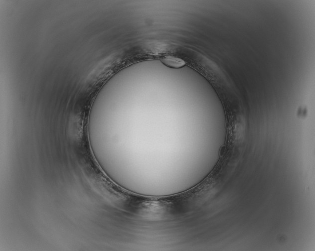 X0000113010558200909171432